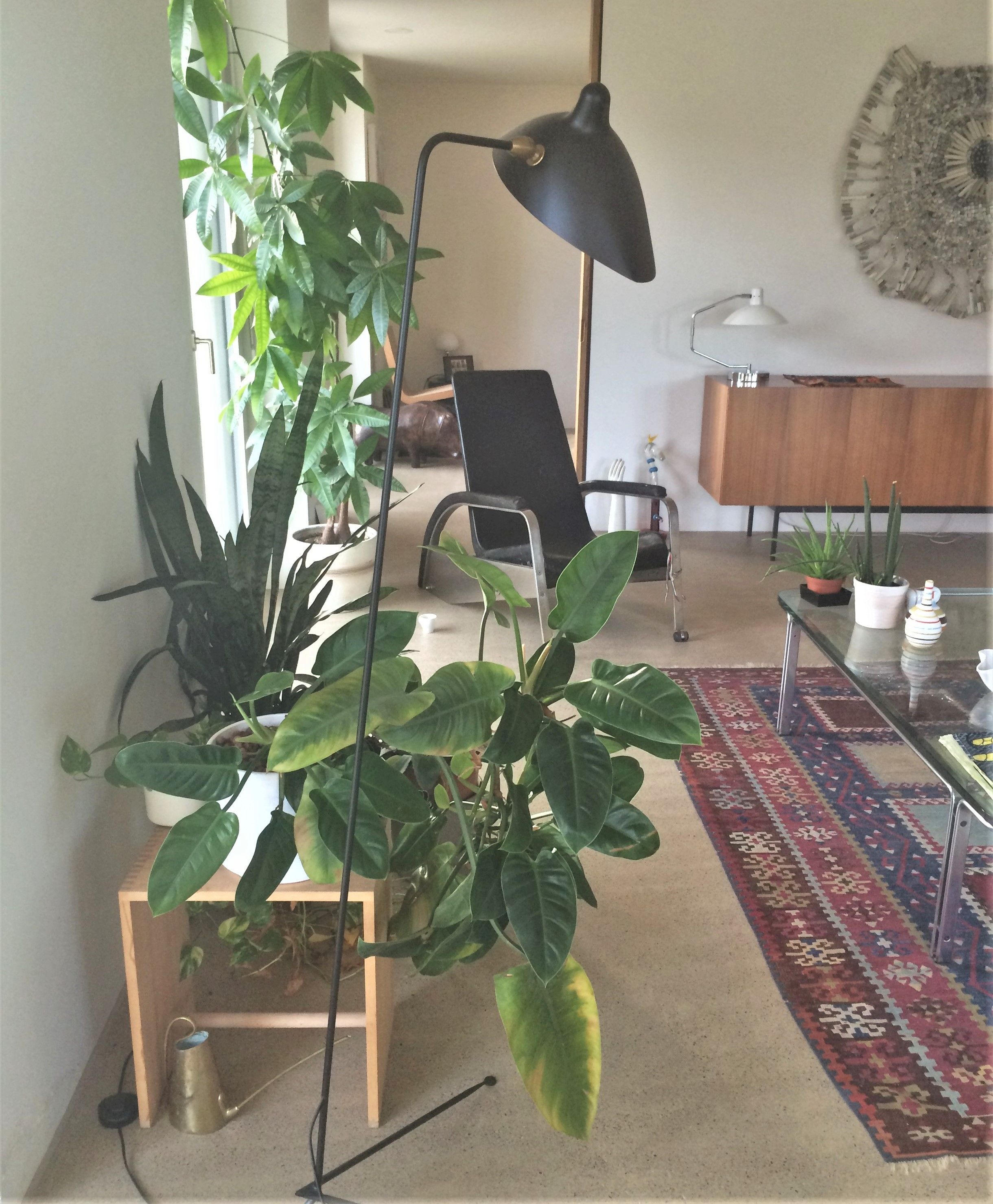 Interior Design 04